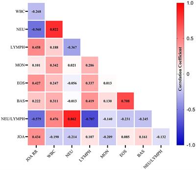 Brain connectivity markers in degenerative cervical myelopathy patients with depression for predicting the prognosis following decompression surgery